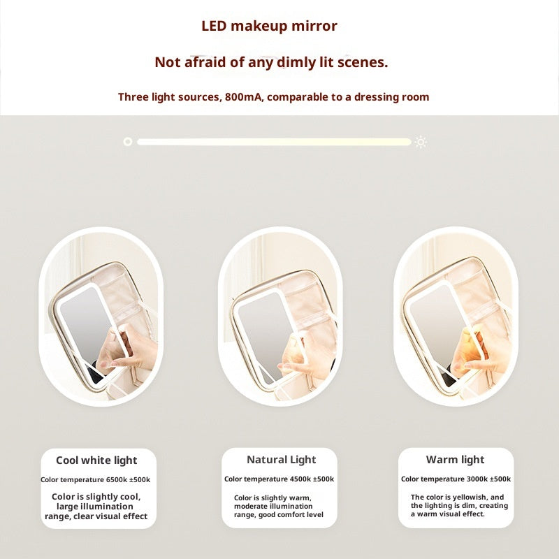 LED Makeup Case Portable Large Capacity